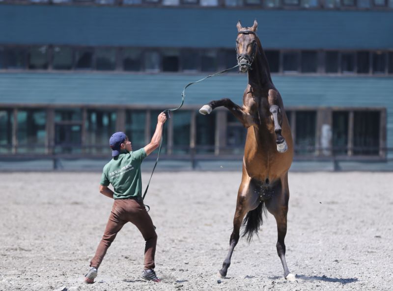 圖片關(guān)鍵詞