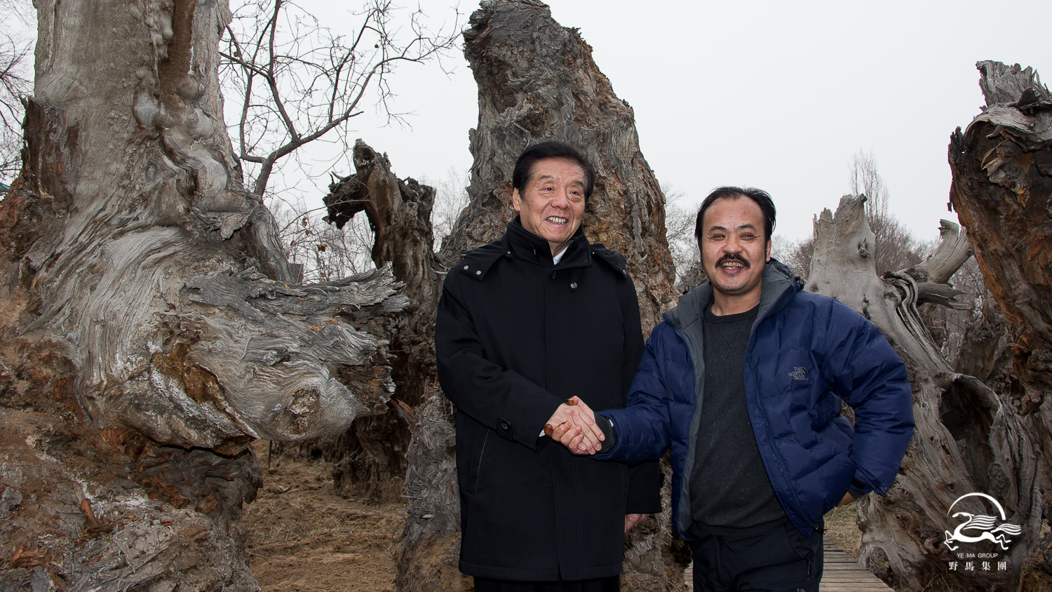 圖片關(guān)鍵詞