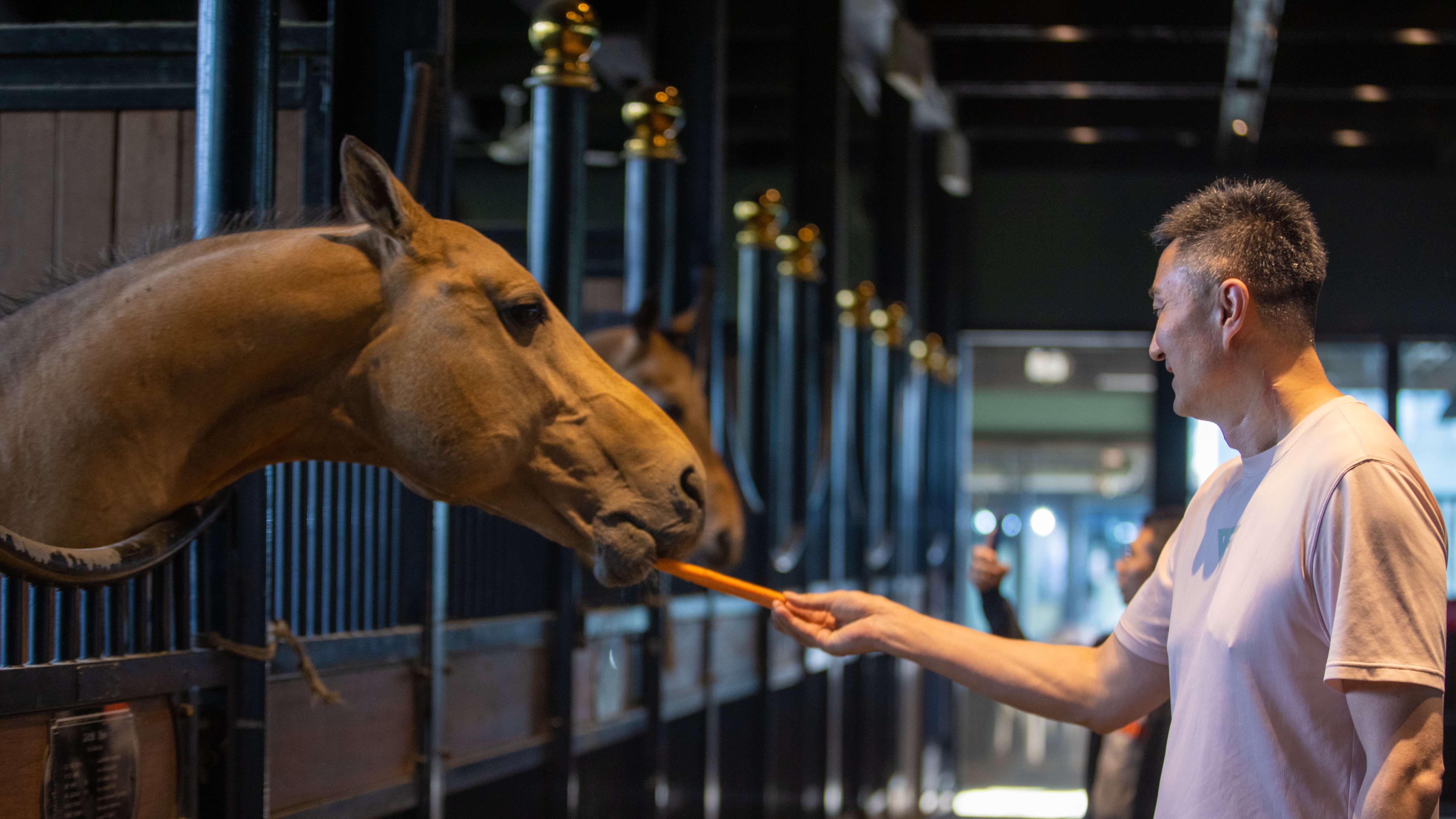 圖片關(guān)鍵詞